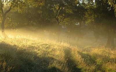 countryside